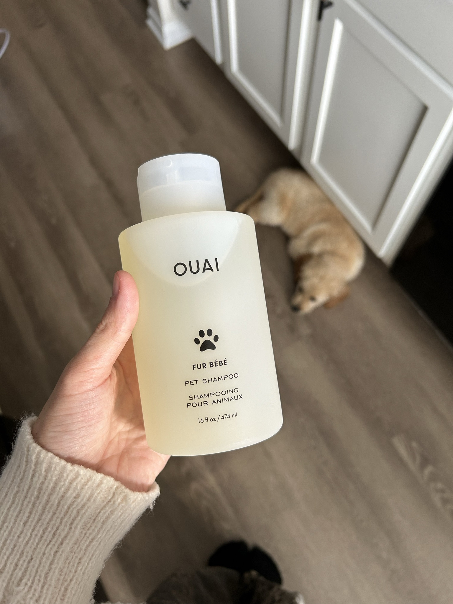 the best smelling dog shampoo🤍☁️✨

#LTKHoliday #LTKGiftGuide #LTKPets