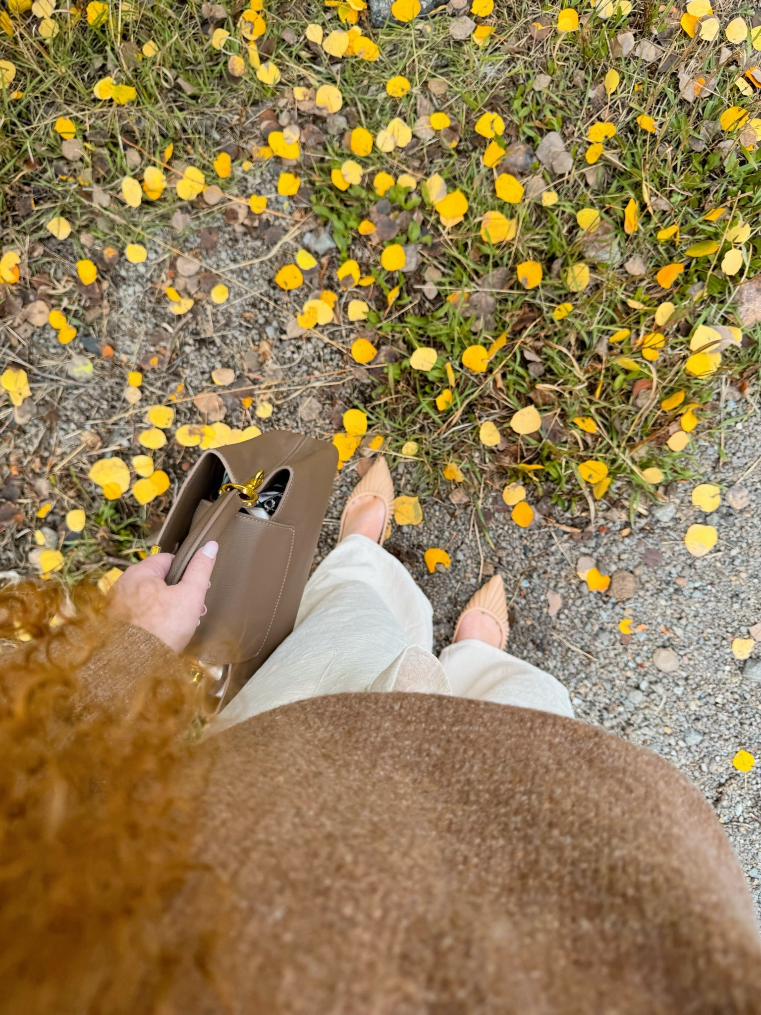 Fall neutrals just hit different 🍂🤎 obsessed with these textures + tones together 🍂✨ office outfit | office style | office look | amazon office outfit | amazon office style | amazon office must haves | work wear | amazon work wear | work wear style | amazon work wear style | sweater | amazon brown sweater | amazon fall sweater | fall sweater | dress pants | work pants | cream pants | cream dress pants | Amazon dress pants | Amazon work pants | mules | amazon mules | amazon finds | amazon fashion | amazon outfit | amazon look | fall office look | fall work wear look | fall 2025 

#LTKStyleTip #LTKMidsize #LTKSaleAlert