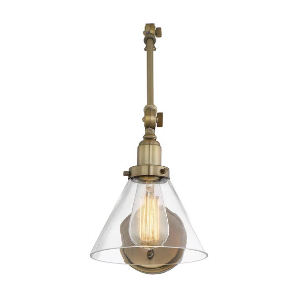 Serena 1-Light Swing Arm | Wayfair North America