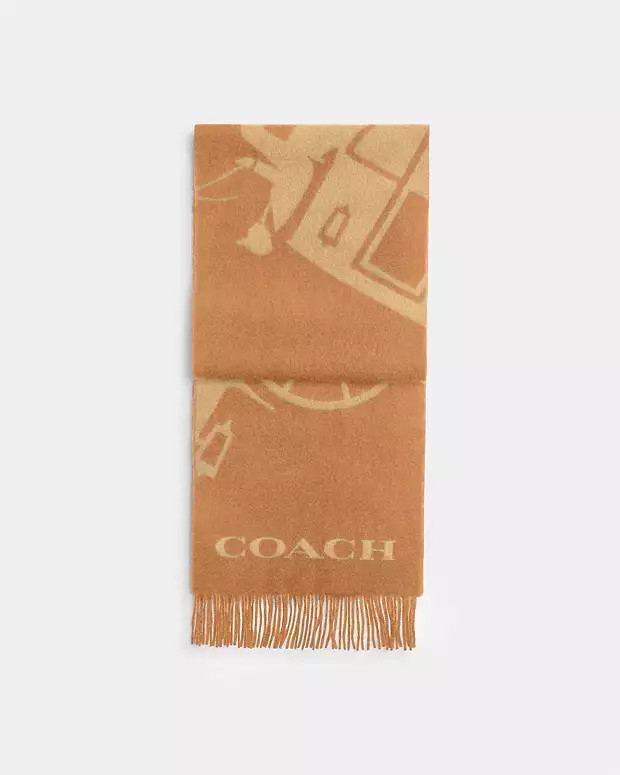 $225 | Coach (US)