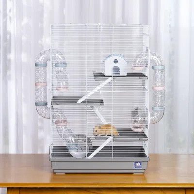 Camargo Mouse Cage with Ramp | Wayfair North America