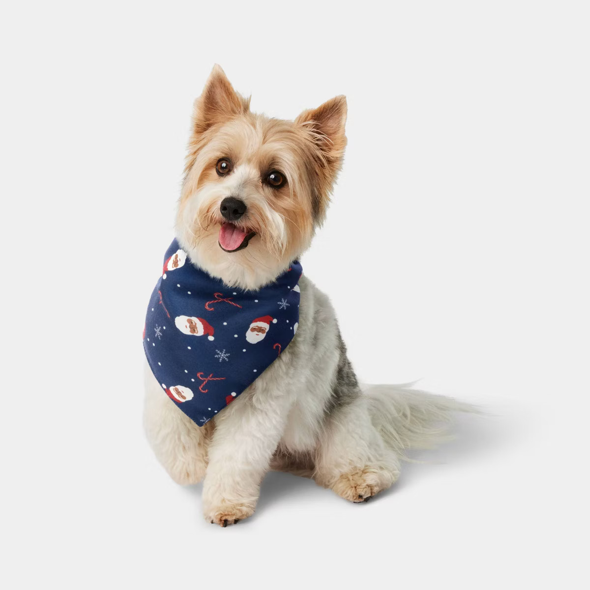 Santa Dog Bandana - Wondershop™ One Size Fits Most | Target