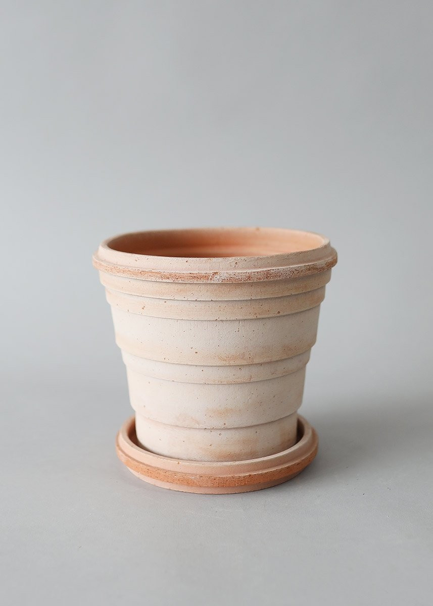 Antique Pink Terracotta Pot and Saucer - 6" Tall x 6.25" Wide with Drainage | Afloral (US)