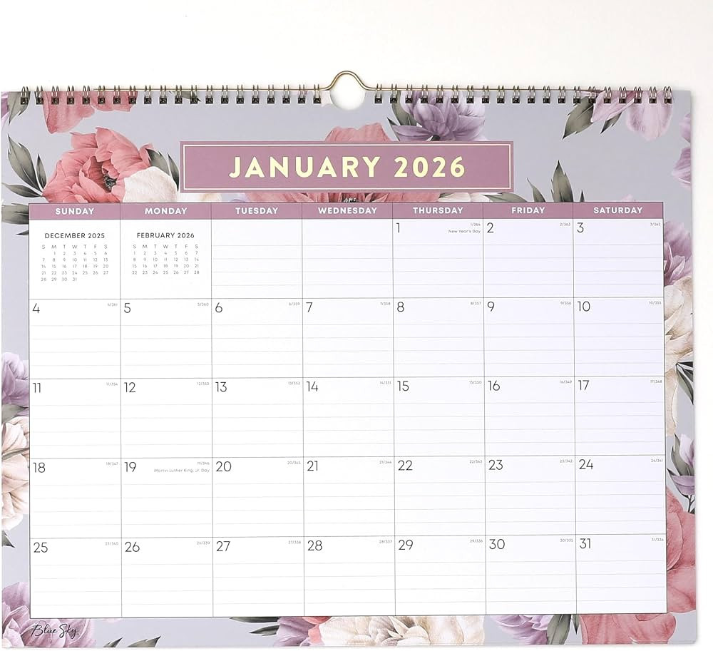 Blue Sky 2026 Monthly Wall Calendar, January 2026 - December 2026, Durable Twin Wire Binding, 15"... | Amazon (US)