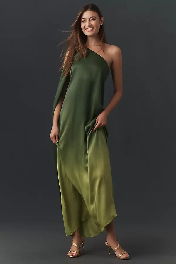 Raya Long-Sleeve One-Shoulder Maxi Dress | Anthropologie (US)