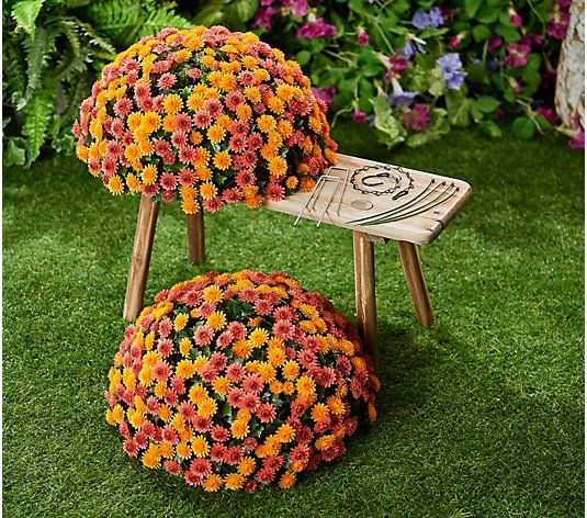 Wicker Park Single 16" Faux Mum Indoor/Outdoor Garden Sphere - QVC.com | QVC