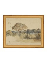 Baroque Watercolor | House of Jade Home