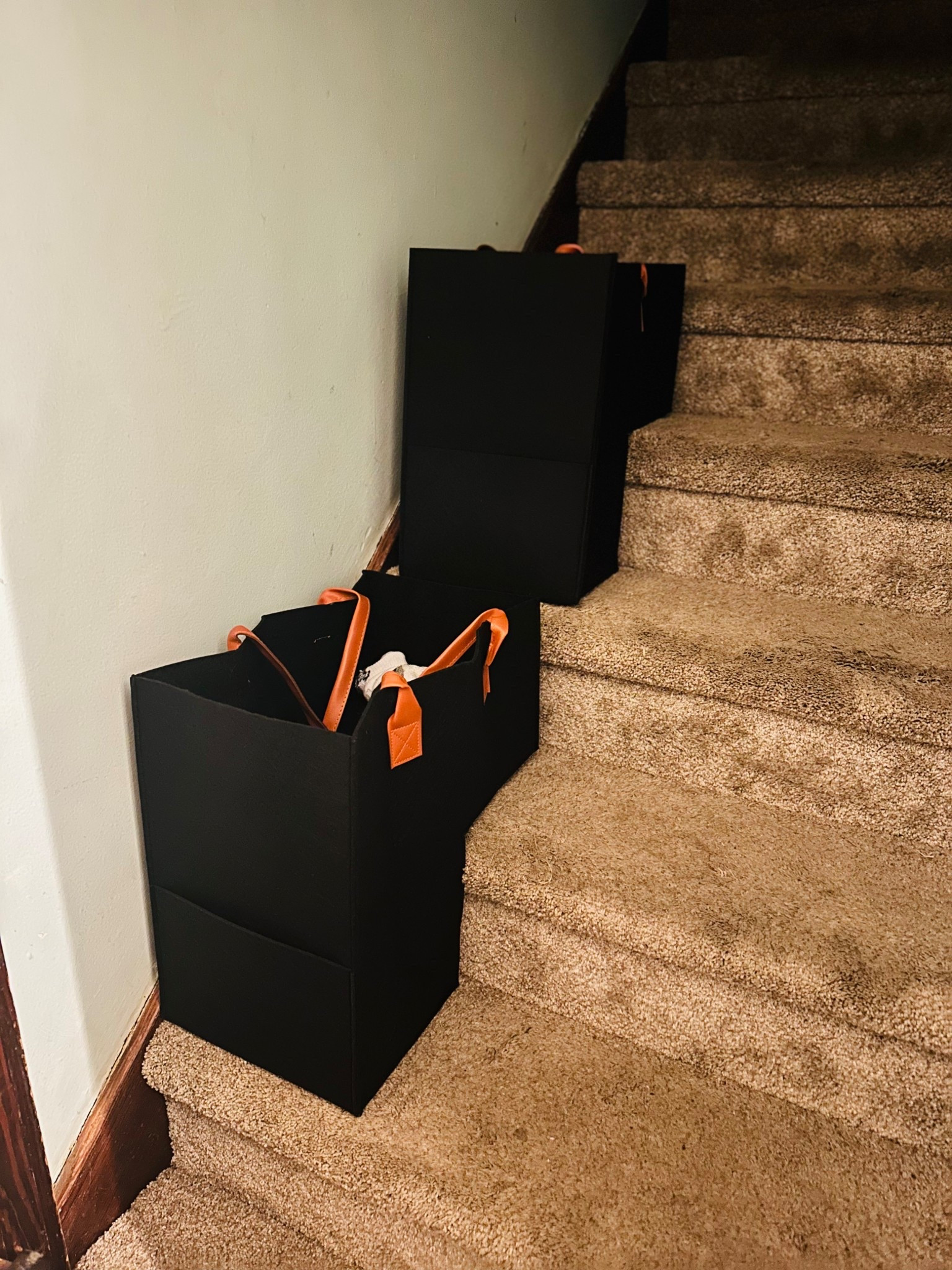 Stair baskets are a game changer! They have handles too so they’re easy to carry up and unload. 

#LTKFindsUnder50 #LTKHome