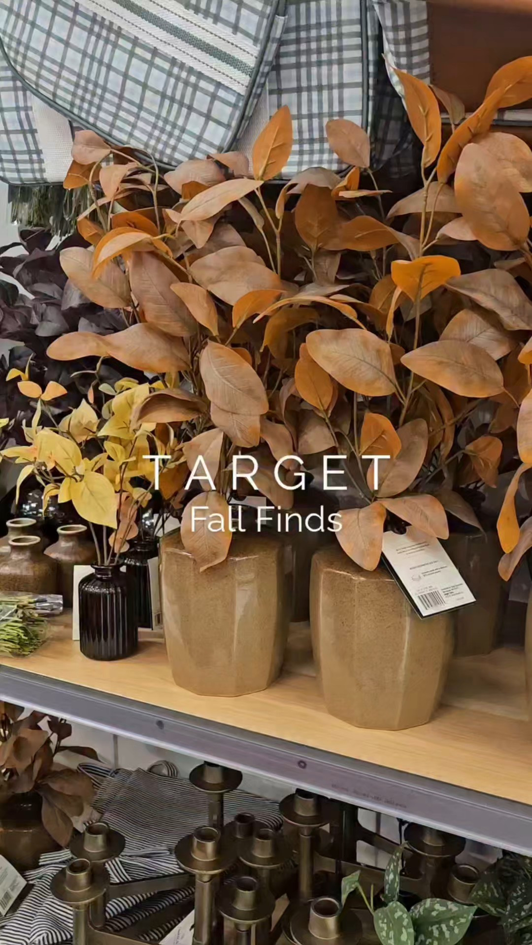 Went to Target yesterday and they had so many great fall finds. The wreath and blanket went straight into my cart! 

#LTKHome #LTKSeasonal #LTKFindsUnder50