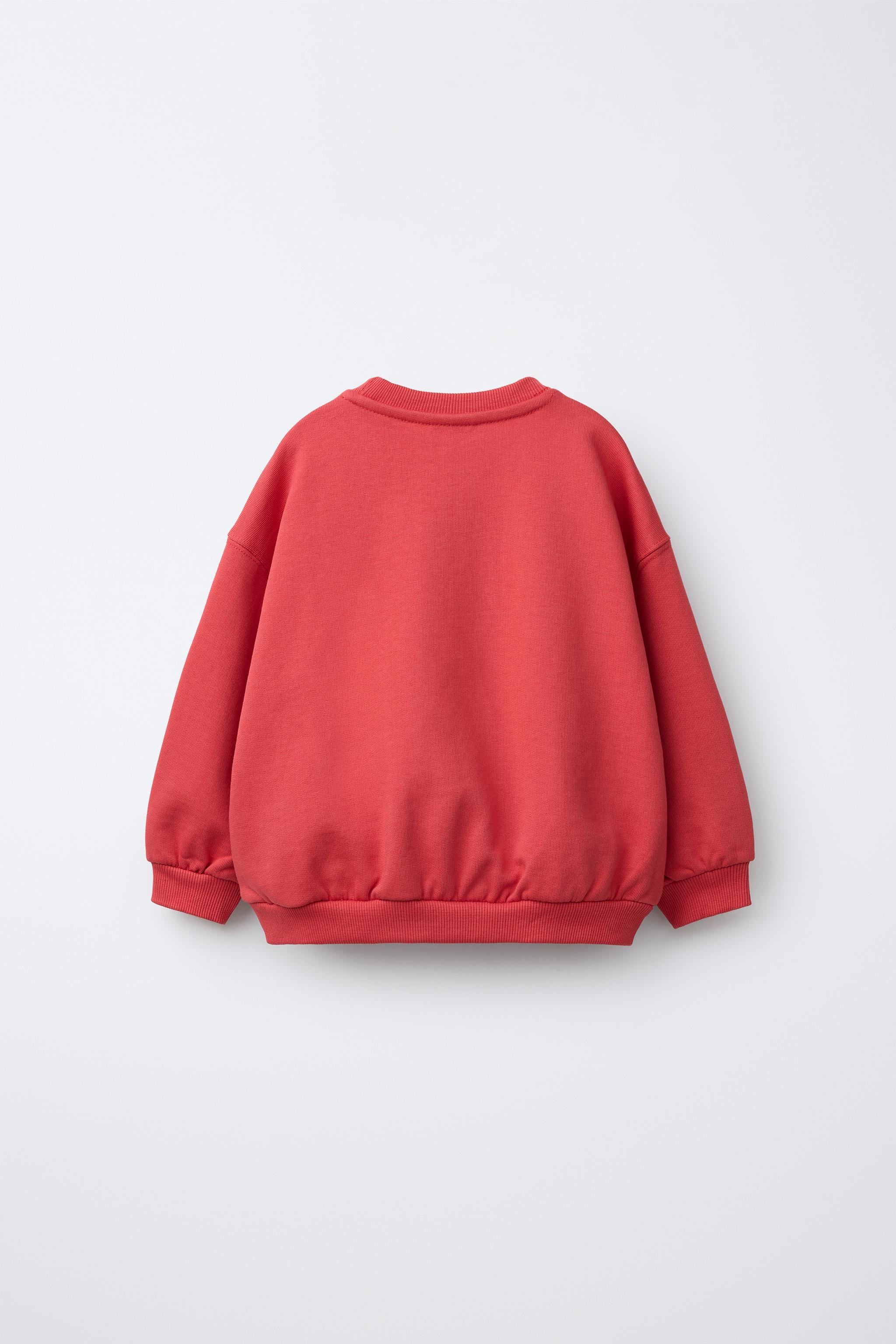 EMBROIDERED ANIMAL SWEATSHIRT | Zara US