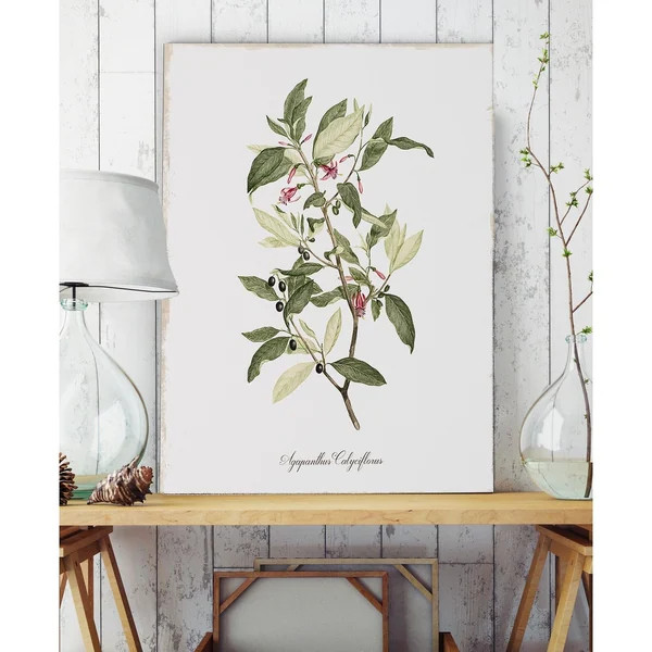 Botanical Agapanthus - Premium Gallery Wrapped Canvas | Bed Bath & Beyond