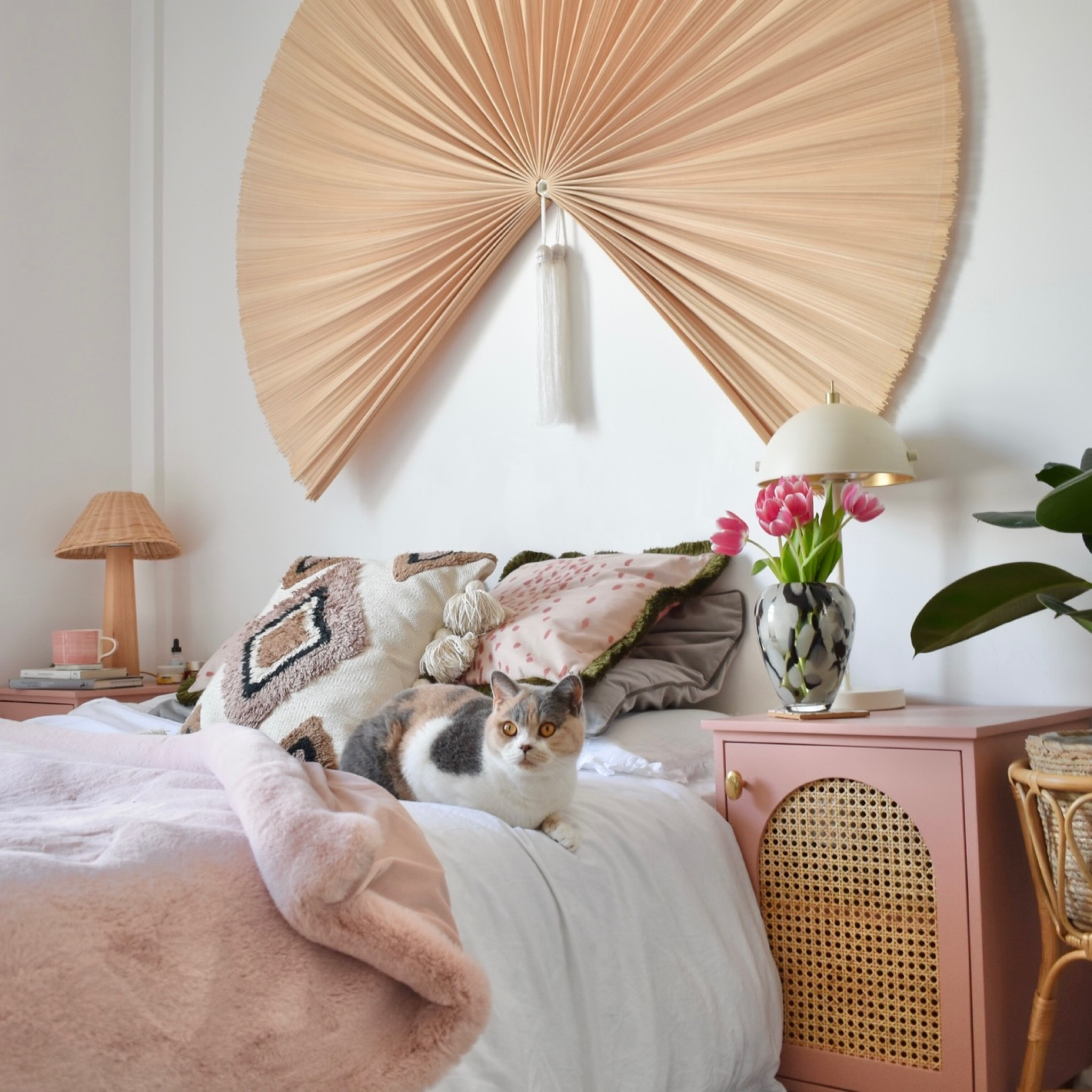 Maybe my favourite photo of all time… the bedroom ft. Opal… it’s almost like my decor is meant to match her… 🐱

#LTKhome #LTKunder100 #LTKFind