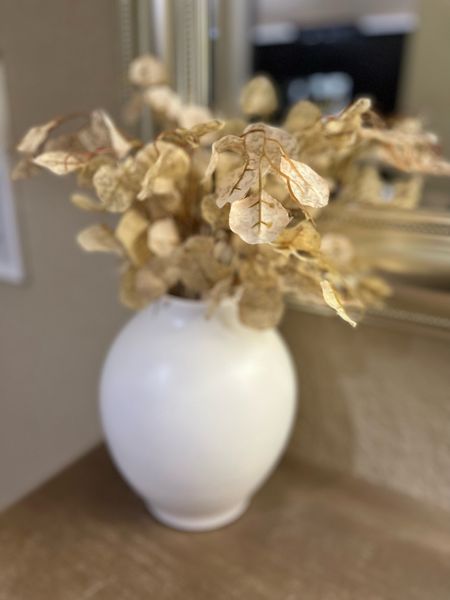 Fall home decor! Affordable vase & stems 🤎 #Stems are from dollar tree, I grabbed 5-6 #target #targetdecor #homedecor #fall #falldecor #affordablehomedecor #homedesign #targetfinds #fallseason 

#LTKstyletip #LTKhome #LTKSeasonal