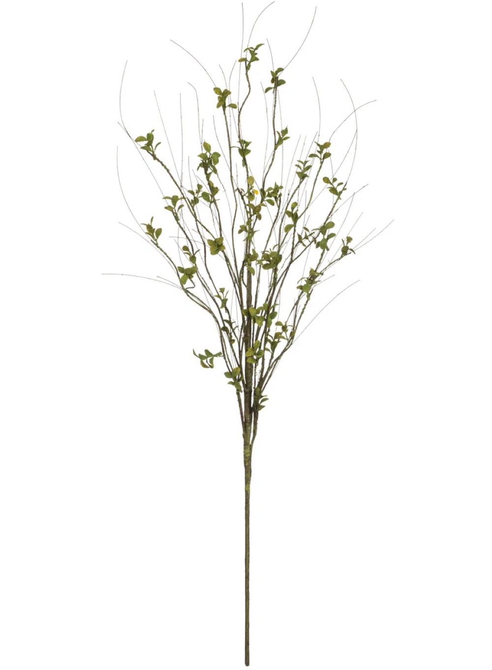 Foliage Arrangement | Wayfair North America