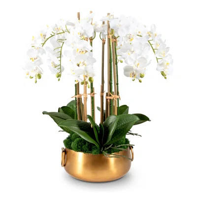 Madelyn Realtouch Orchid | Wayfair North America