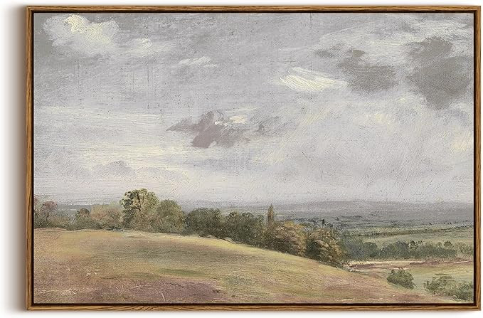 InSimSea Framed Canvas Wall Art Vintage Decor, Large Landscape Wall Art, Wild Field Painting, Rus... | Amazon (US)