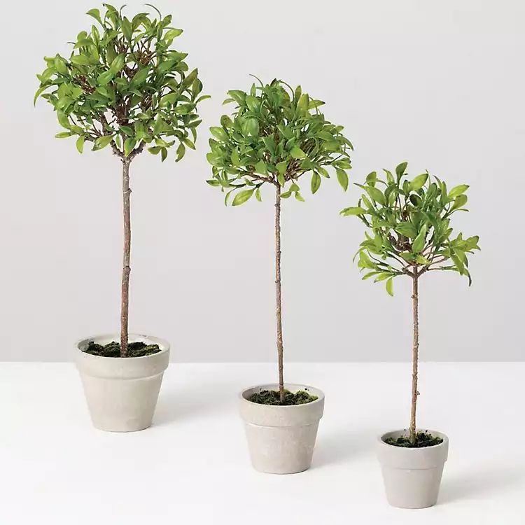 New! Green Mini Leaf Potted Topiaries, Set of 3 | Kirkland's Home