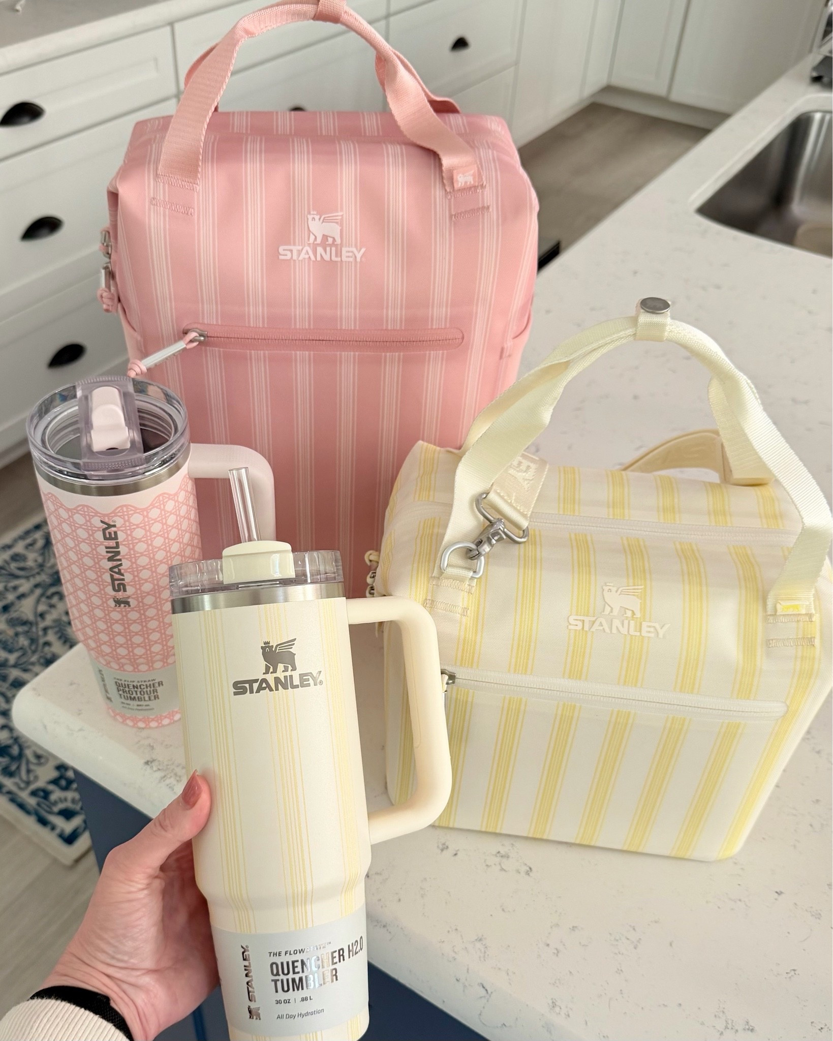 😍 Oh my goodness! Yellow is having a moment this Spring and @Stanley1913 has NAILED IT! (#StanleyPartner) Cream Picnic Stripe is the newest color in the Picnic Collection and it’s such a cool retro color that gives Croquet on the main lawn vibes! I just love how bright and sunny it is!

#LTKmomlife #LTKSeasonal #LTKHome