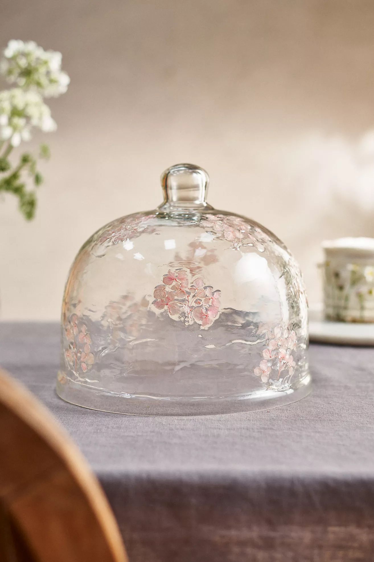 Pressed Floral Glass Cloche | Anthropologie (US)