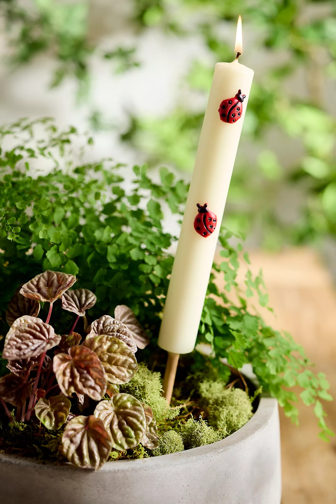 Bug Citronella Torch Candle | Anthropologie (US)