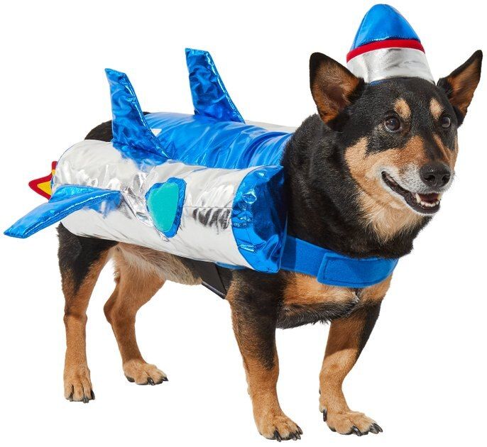 Frisco Rocket Ship Dog & Cat Costume, XX-Large | Chewy.com