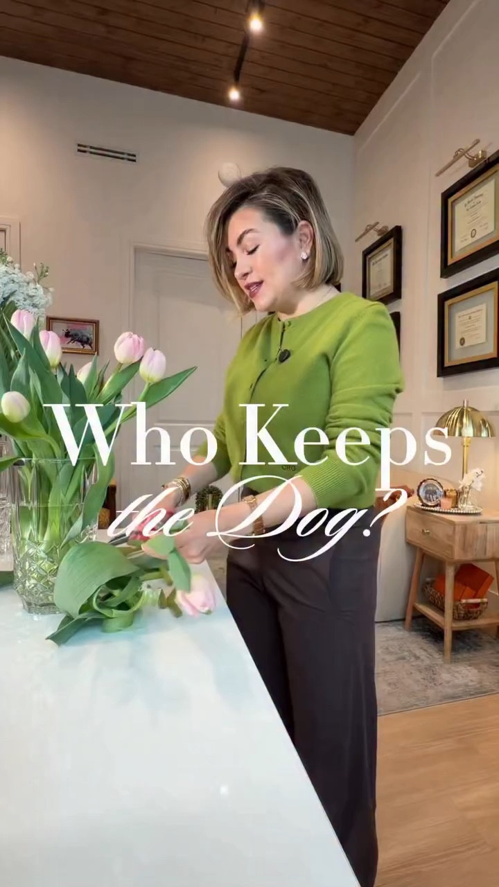 Who gets the family pet? Here’s what happens if you ever split up. 🐾

#lawyermom #texasdivorce #petcustody #texasfamilylaw #rgvlawyer