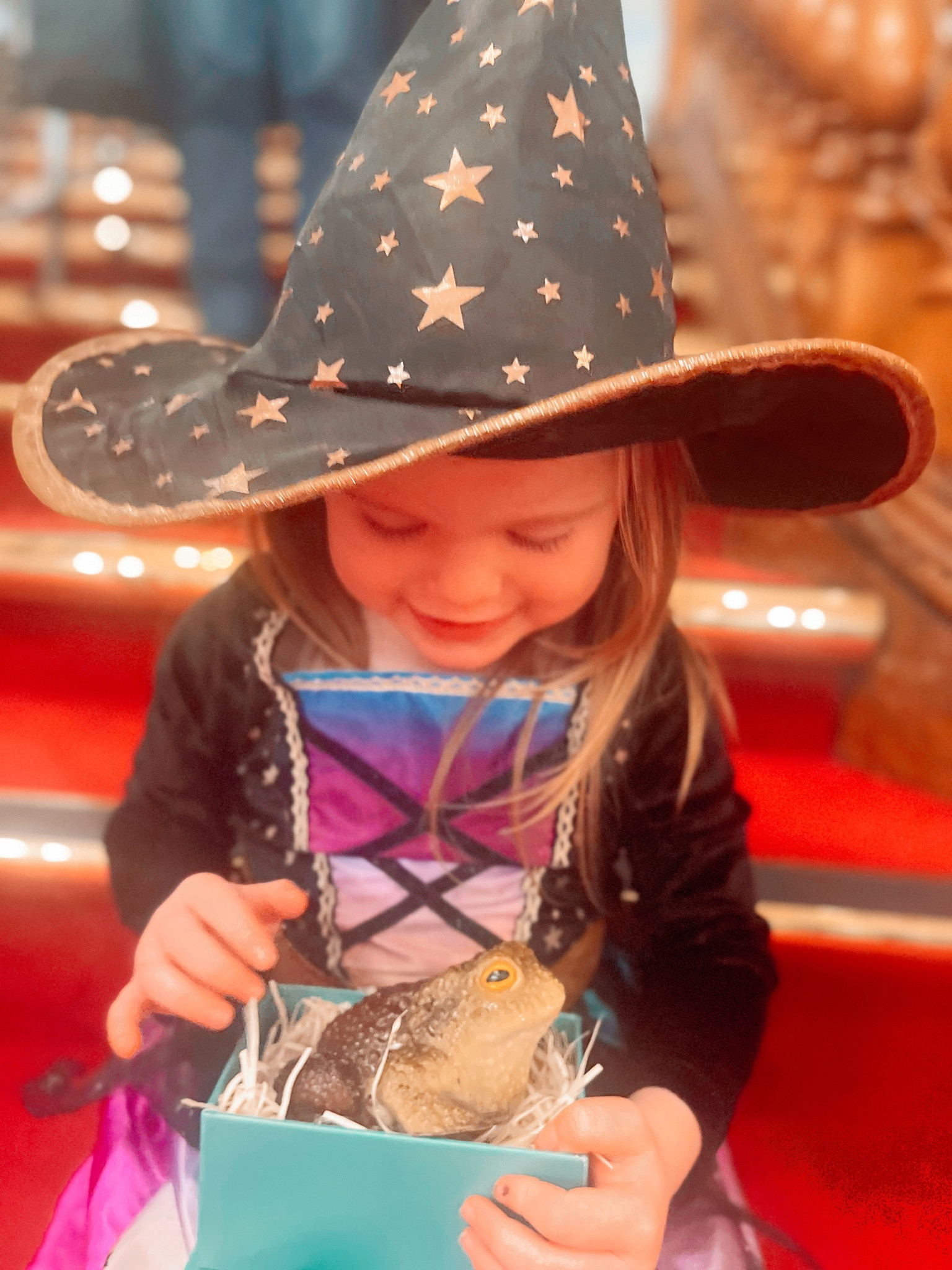 A unique chocolate frog for Halloween 👻 🐸!! I mean , how gorgeous ☺️
#halloween #kidshalloween #chocolate #halloweenchocolate 

#LTKHalloween #LTKfamily #LTKU