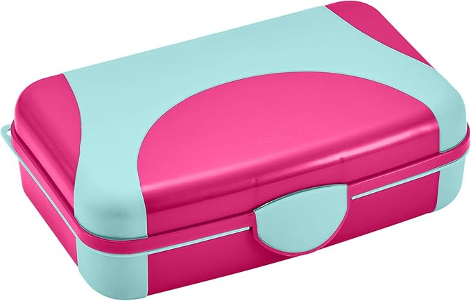 It's Academic Hard Pencil Case, Durable Plastic Pencil Box, Kid-Friendly Design, Pink & Blue | Amazon (US)