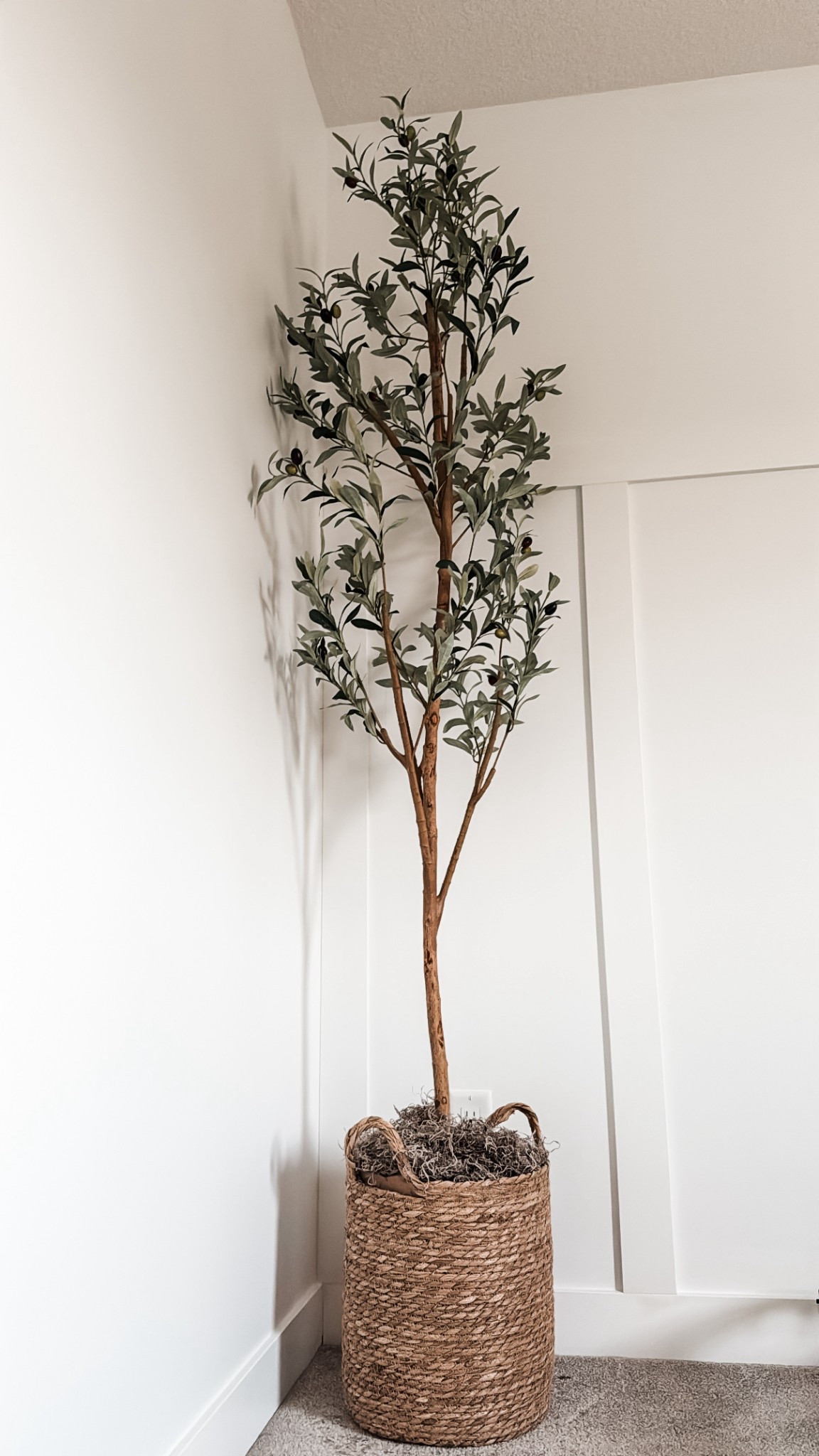 Never too many faux olive trees if you ask me! LOVE the authentic look of this one, and the easiest thing in the world to put together!

#fauxolivetree #amazonfinds #amazonfavorites #organichomedecor #minimalhomedecor

#LTKHome #LTKGiftGuide #LTKFindsUnder100