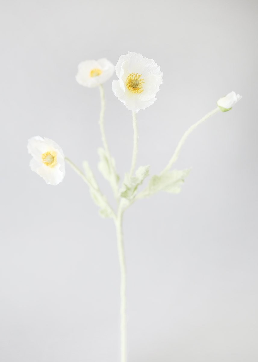 Faux Poppy Flowers in White | Afloral (US)