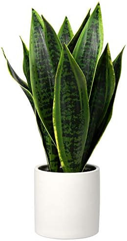 Fake Snake Plant 16" Faux Potted Plant Artificial Snake Plant with White Ceramic Pot Sansevieria Pla | Amazon (US)