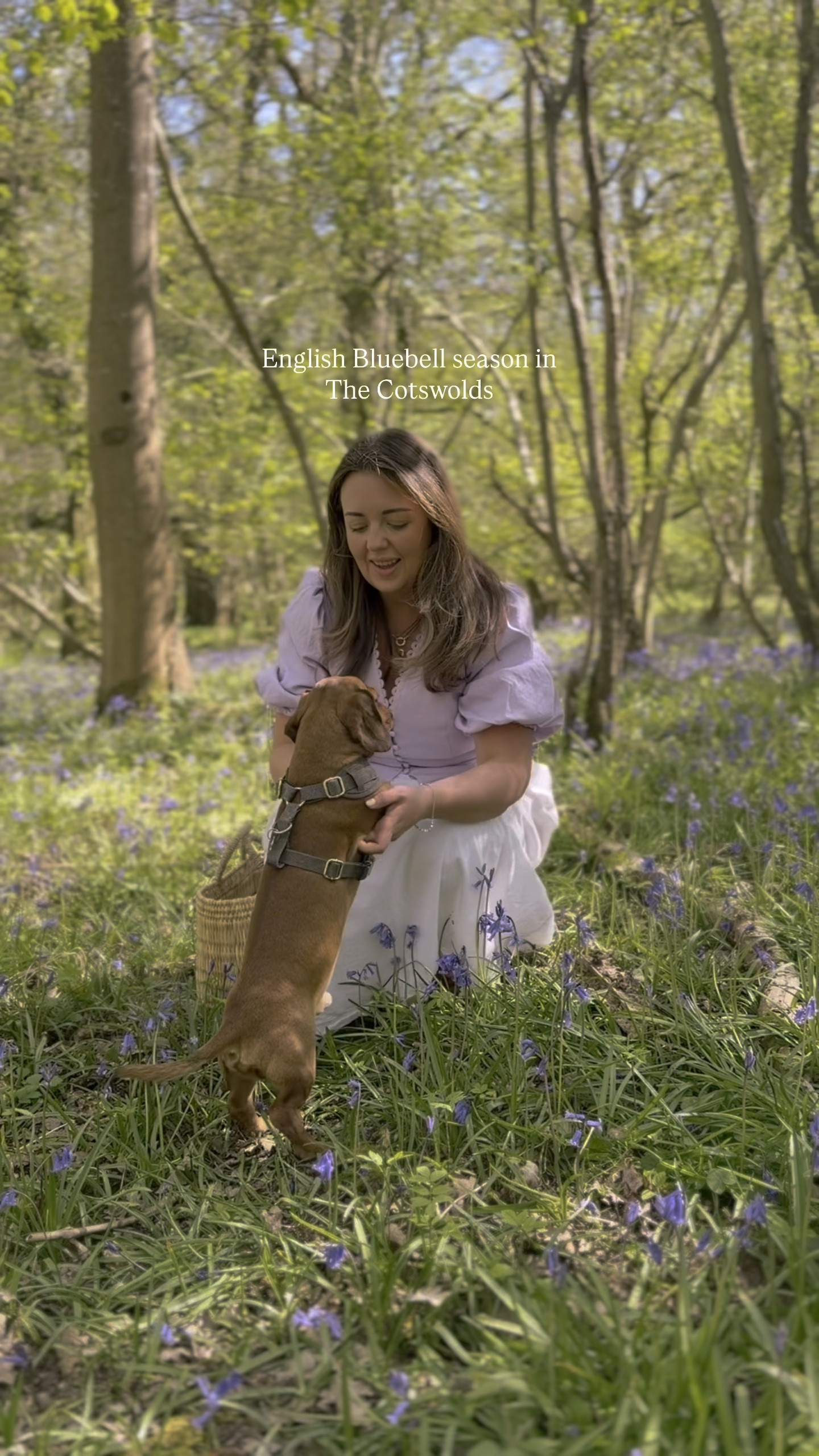 #LTKsummer #LTKspring #LTKuk