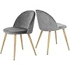 Coavas Dining Chairs Soft Velvet Kitchen Chairs Living Room Lounge Leisure Chairs with Wooden Sty... | Amazon (UK)