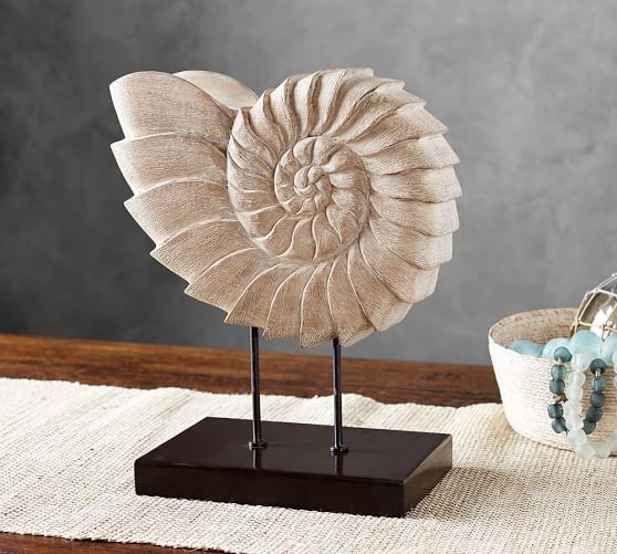 Shell on Museum Stand | Pottery Barn AU