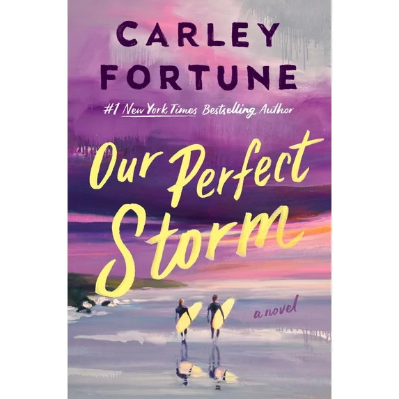 Our Perfect Storm (Hardcover) | Walmart (US)