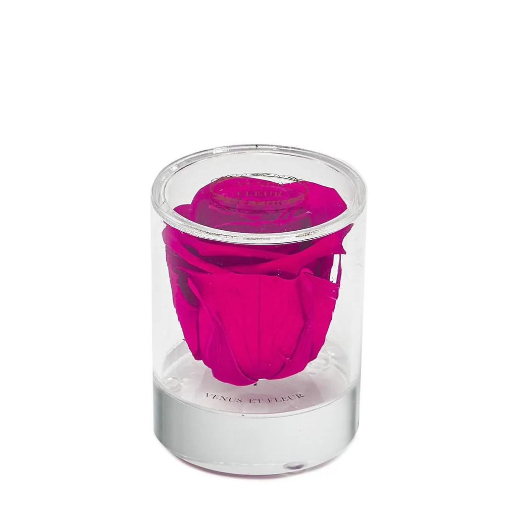 Acrylic Collection - Le Clair Un with Eternity Rose in Round Acrylic | Venus ET Fleur