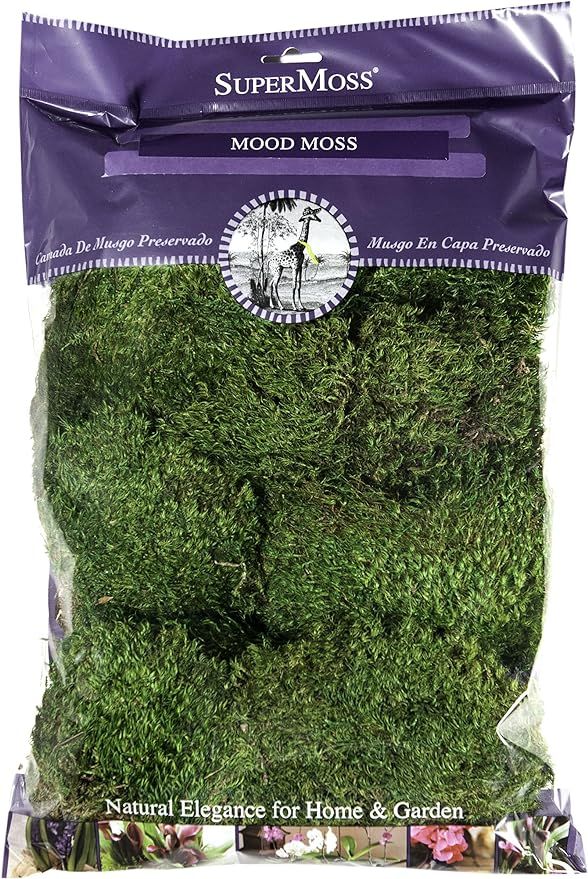 Supermoss Mood Moss Preserved Natural Green 1200cuin | Amazon (US)