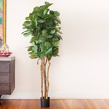 Nearly Natural 6ft Fiddle Leaf Fig Artificial Trees, 72in, Green | Amazon (US)