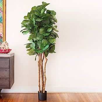 Nearly Natural 6ft Fiddle Leaf Fig Artificial Trees, 72in, Green | Amazon (US)