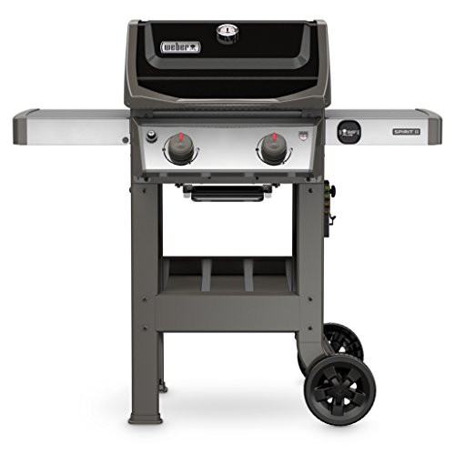 Weber Spirit II E-210 2-Burner Liquid Propane Grill, Black | Amazon (US)