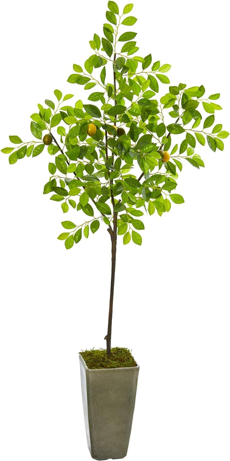 Nearly Natural 6ft. Lemon Artificial Tree in Olive Green Planter | Amazon (US)