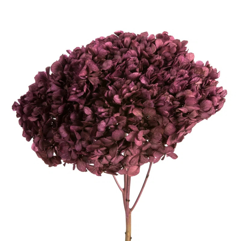 Natural Botanicals 15" Hydrangea with Multiple Branch Segments, Preserved | Wayfair North America