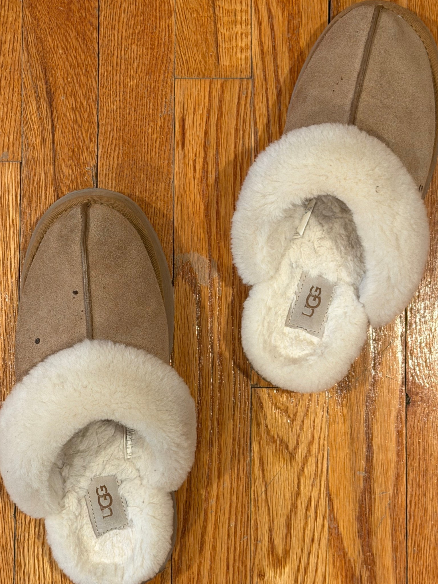 These are my favorite slippers ever. I’ve had them for over a year and I wear them every single day  

#LTKootd #LTKgrwm #LTKdayinmylife