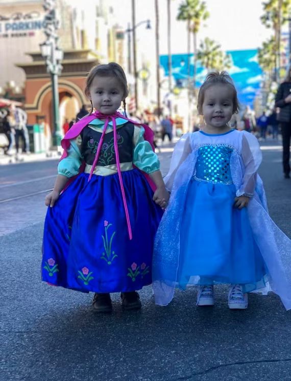 Queen Elsa/ Princess Anna / Frozen Princess | Etsy | Etsy (US)