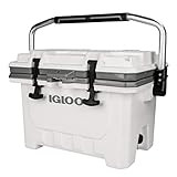Igloo 24 qt IMX Lockable Insulated Ice Chest Injection Molded Cooler | Amazon (US)