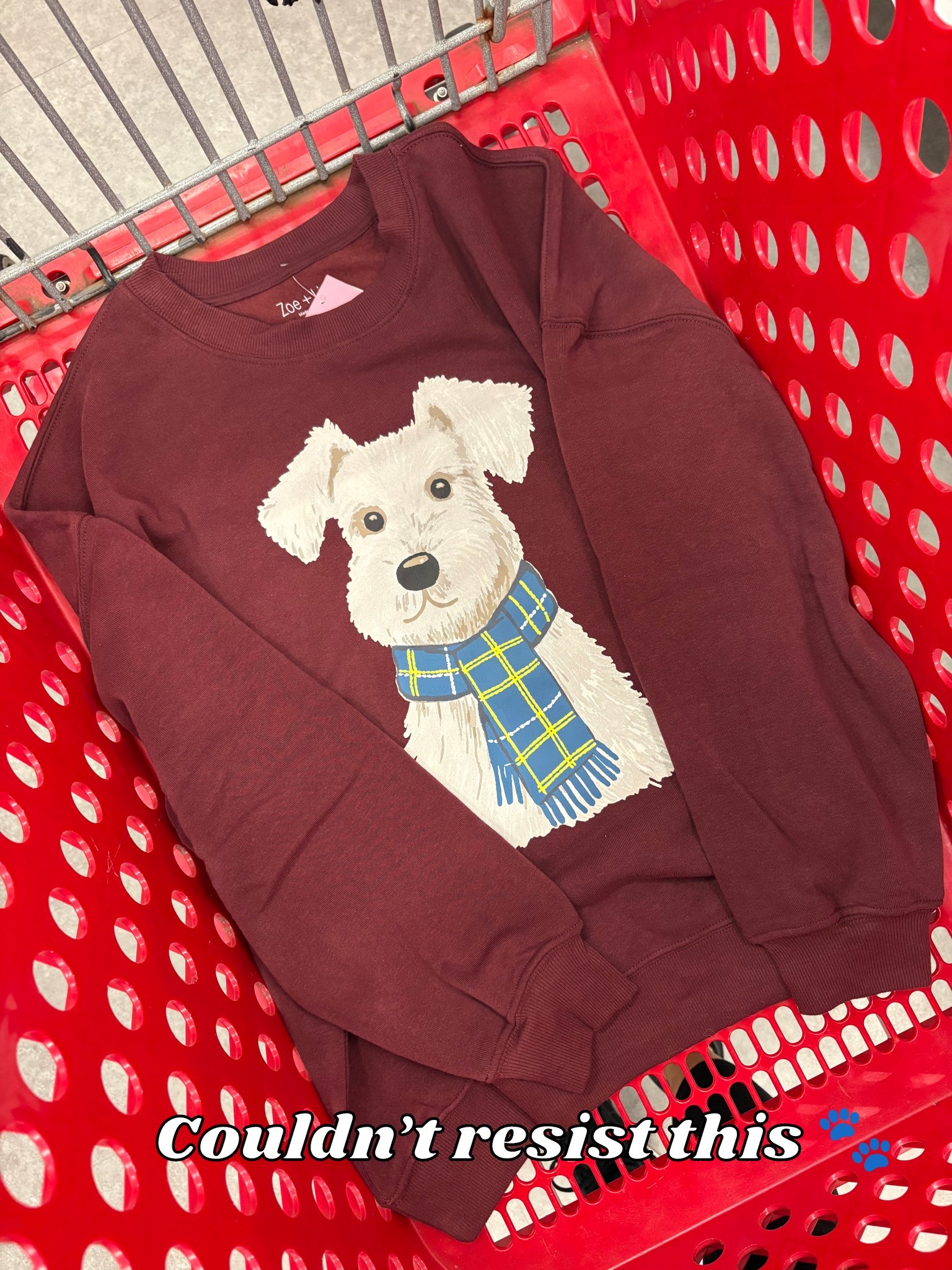 Target Maroon Dog with Scarf Fleece Sweatshirt #target #targetstyle #graphicsweatshirt

#LTKFindsUnder50 #LTKootd #LTKTravel