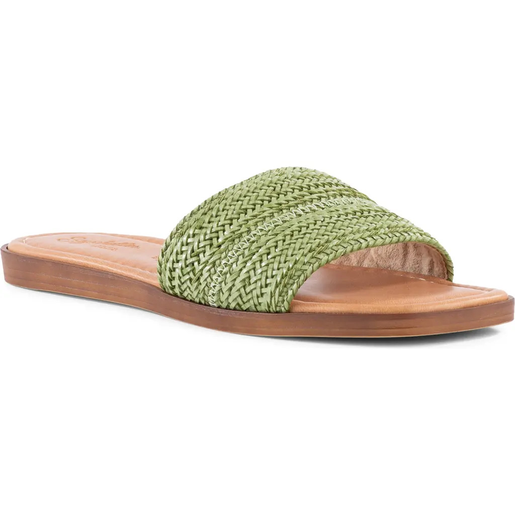 Seychelles Palms Perfection Slide Sandal in Green at Nordstrom Rack, Size 7.5 | Nordstrom Rack