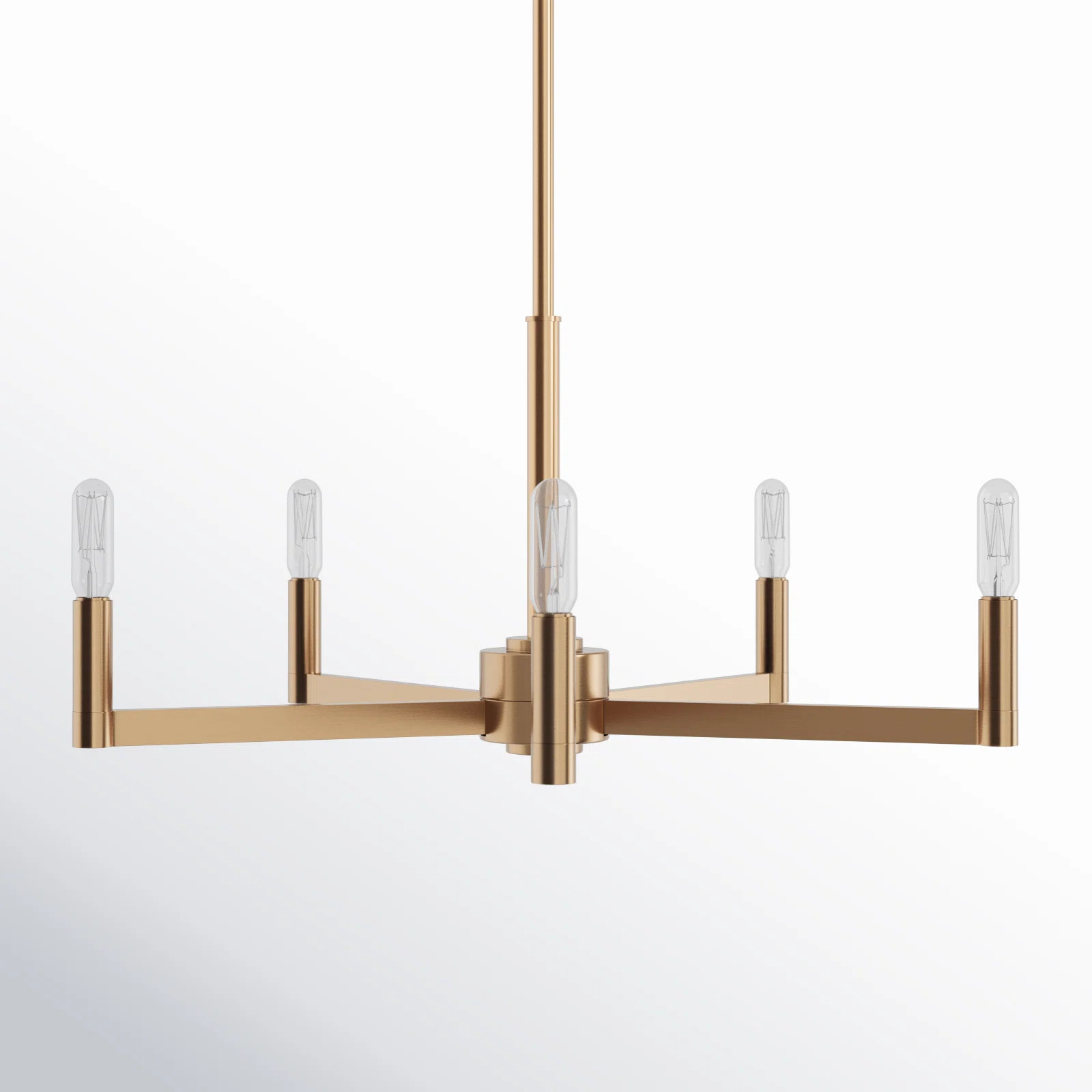 AllModern Haines Five Light Chandelier & Reviews | Wayfair | Wayfair North America