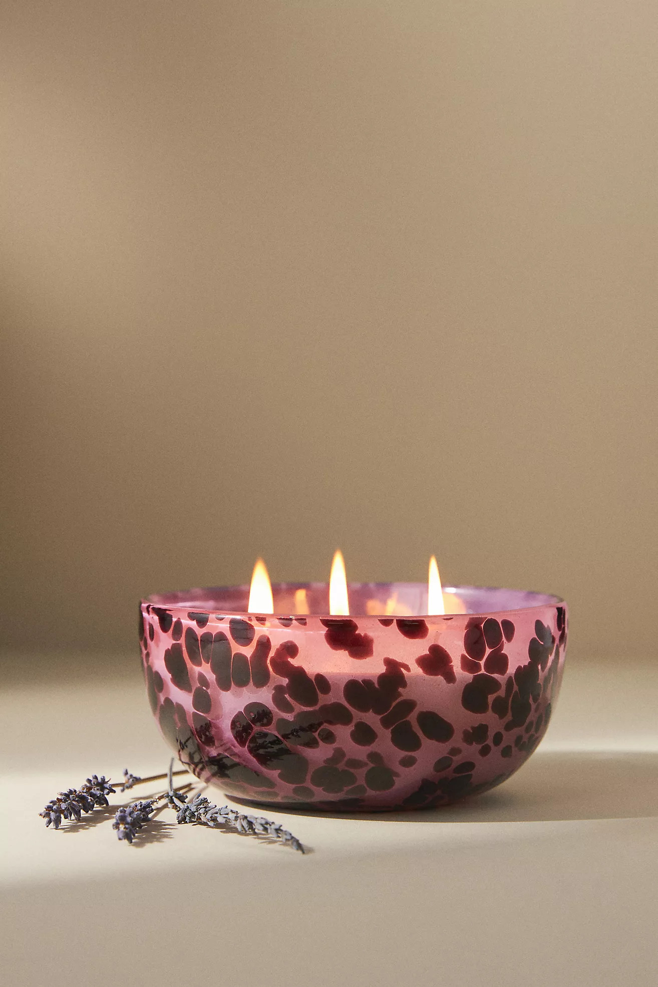 Apothecary 18 Lavender & Balsam Fresh Floral Glass Candle | Anthropologie (US)