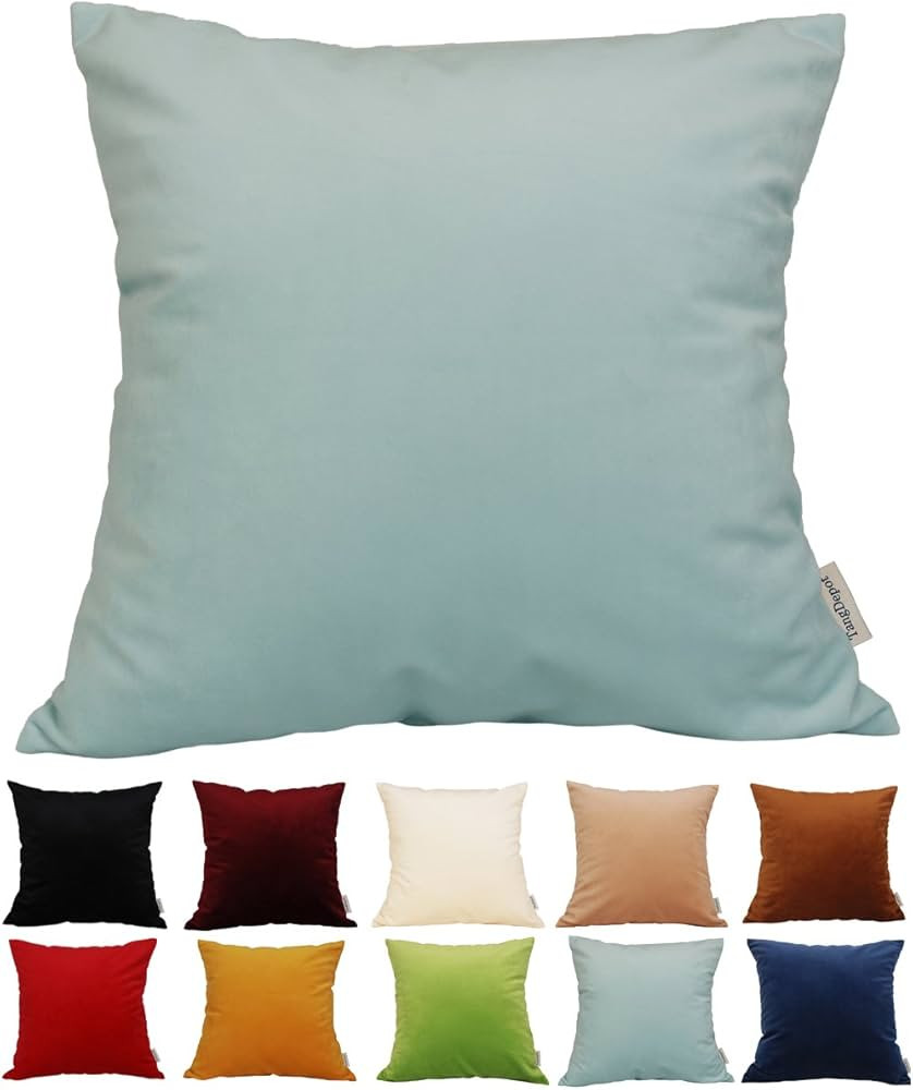 TangDepot Solid Velvet Throw Pillow Cover/Euro Sham/Cushion Sham, Super Luxury Soft Pillow Cases,... | Amazon (US)